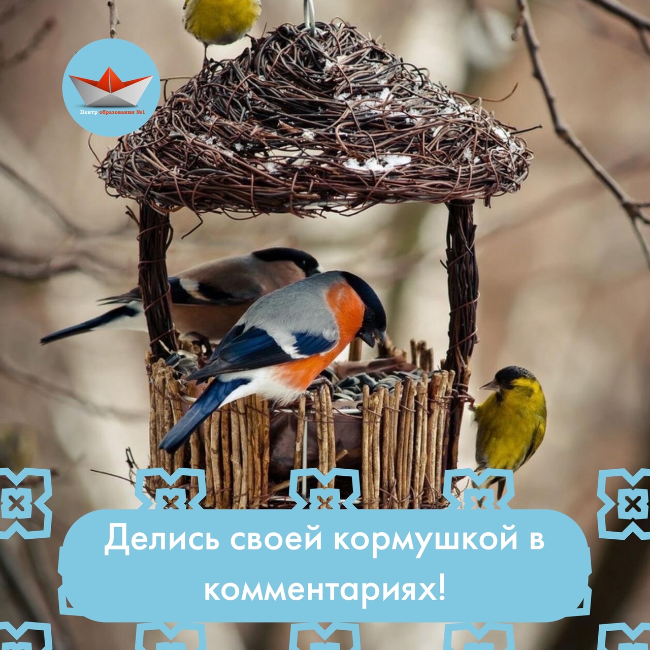 День зимующих птиц - 15 января.