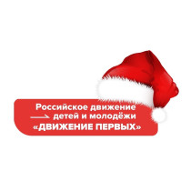 Активисты медицинских классов Центра образования приняли участие в акции «Российский Детский Дед Мороз» от Движения Первых.